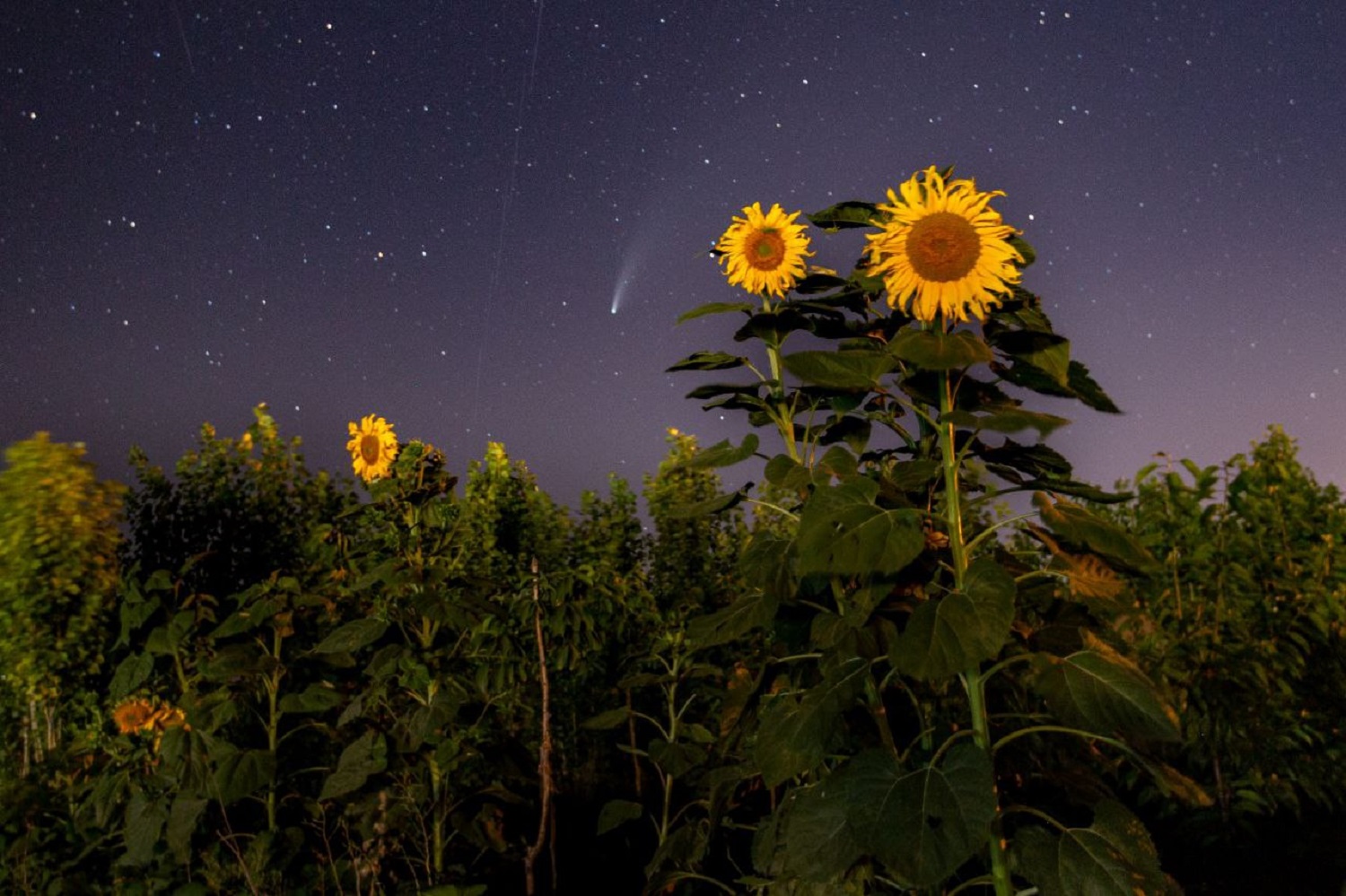 شب‌های ستاره‌باران خراسان شمالی، جاذبه‌ای دیدنی و زیبا